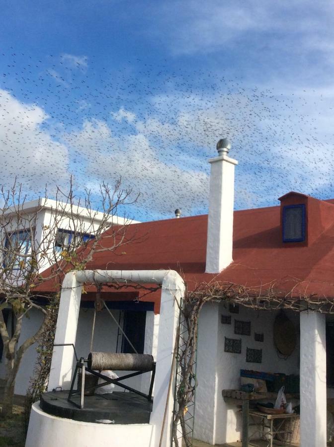 La Casa De Las Higueras Dar Karmus Tétouan Zewnętrze zdjęcie