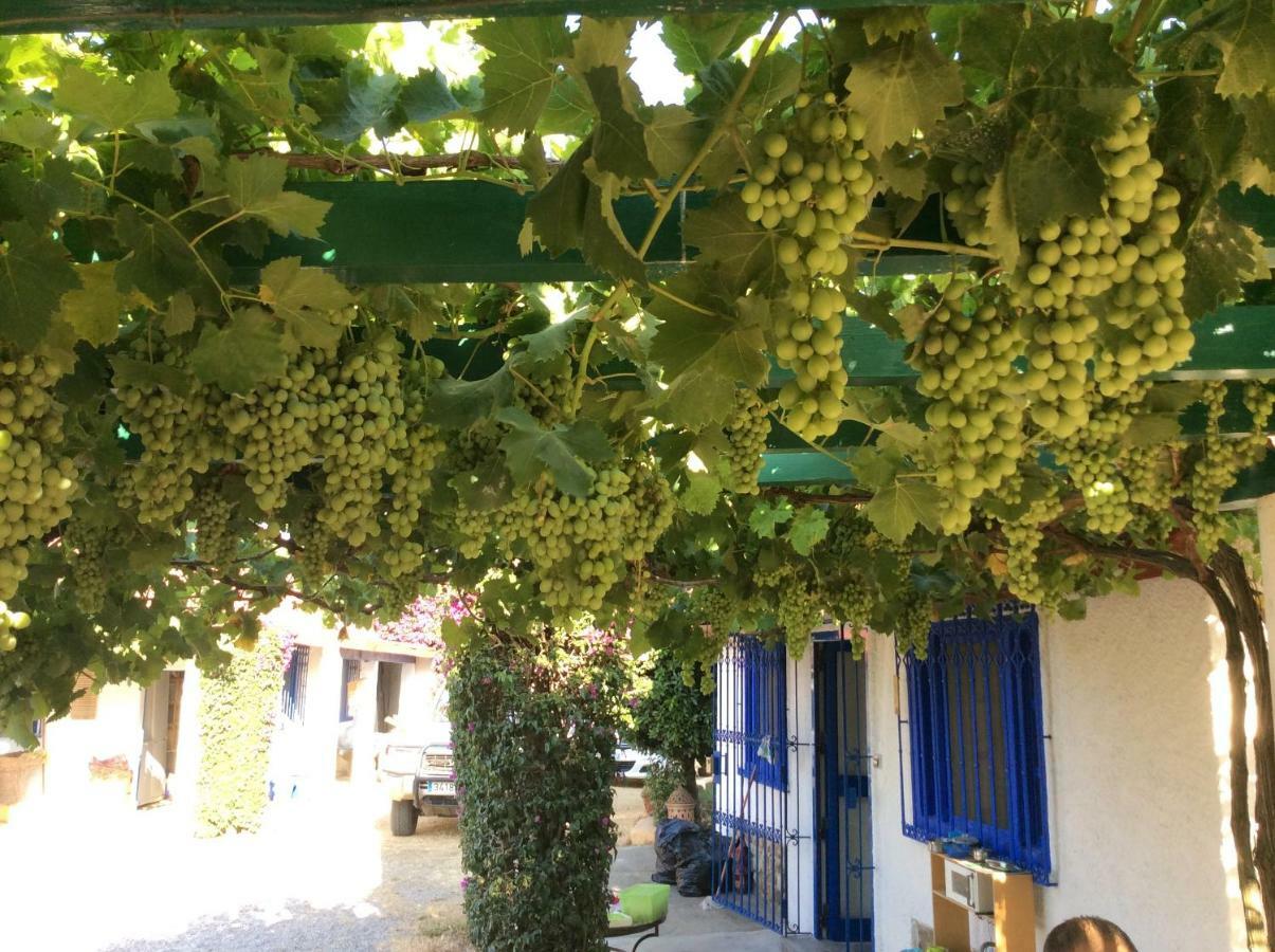 La Casa De Las Higueras Dar Karmus Tétouan Zewnętrze zdjęcie